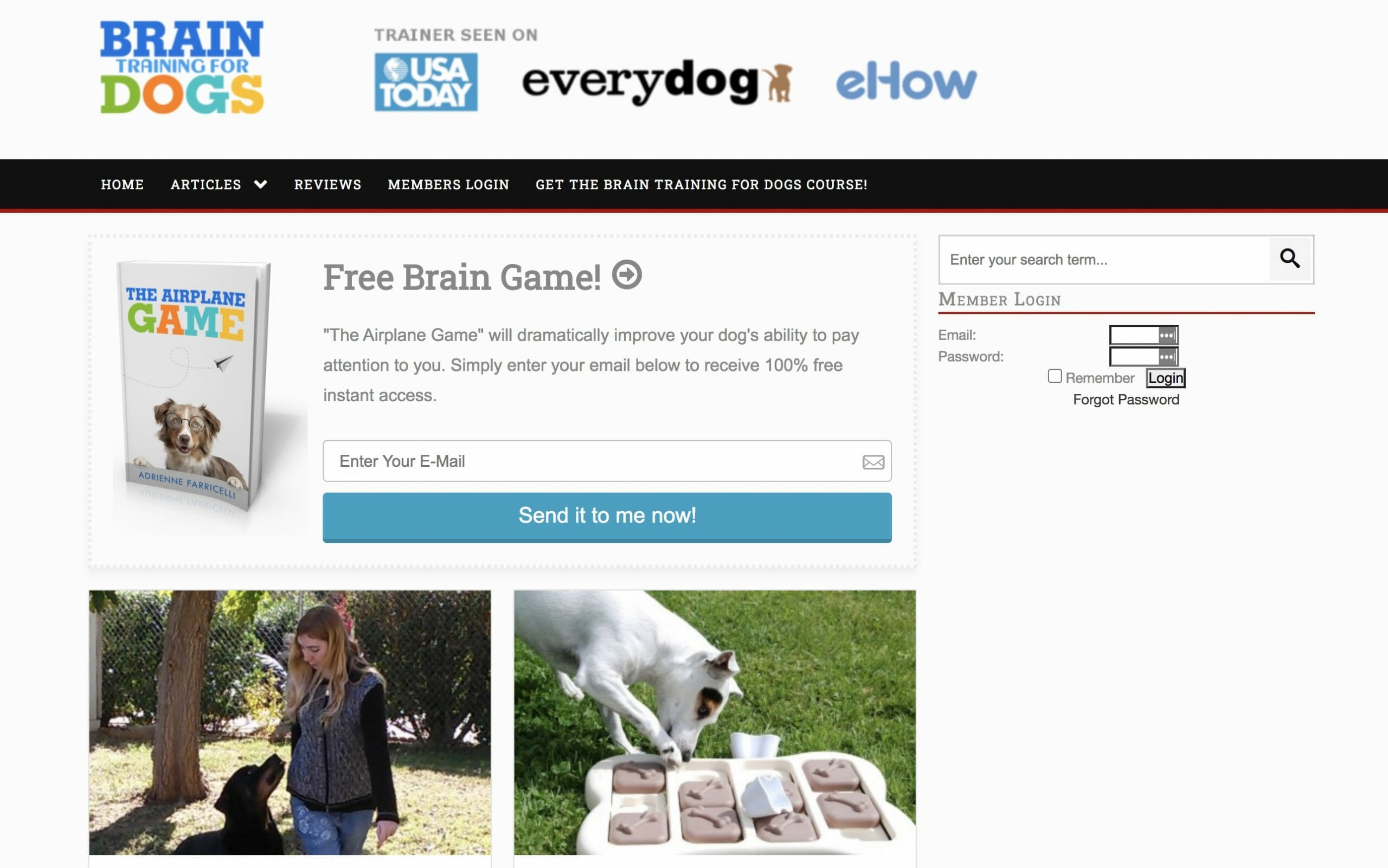 Top 10 Best Dog Affiliate Programs Of 2022
