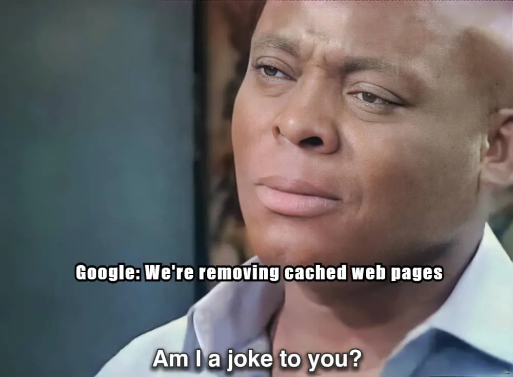 Google removendo meme de cache da web