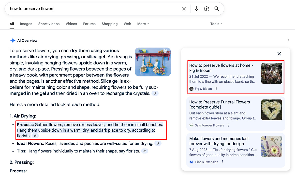 blogposting source within Google’s AI Overviews
